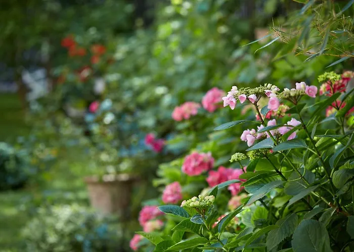 Hotel Le Galant - Etchegorry París